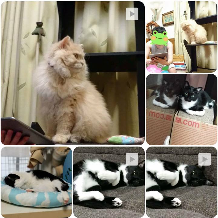 Bad39a6e b04c 49fe bdc9 ba256cbdb542 1562076697817