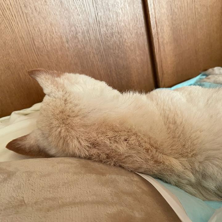 Bad3ef38 abe5 4763 93da 7695226479de 1668556715629