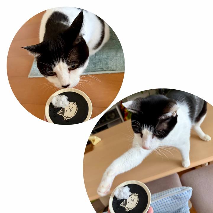 Bad44579 ece3 4c96 b768 5dc1f9029f4e 1770514715158