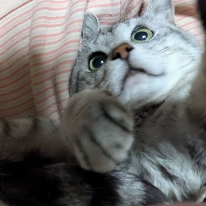 Bad44e6f ed0c 4e0a bd4d f673034bc54a 1735209316479