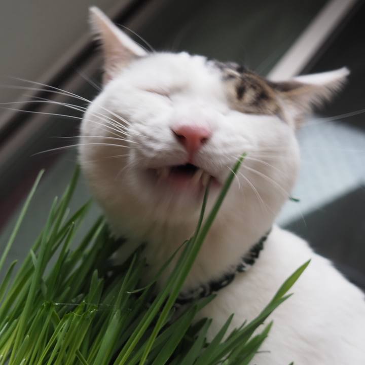 Bad47034 5dac 49f5 a8fd f6cbceb3fd01 1527459422002