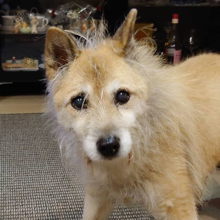 Bad470cc 4e86 4478 a943 7ec71df34c6c 1609166232954