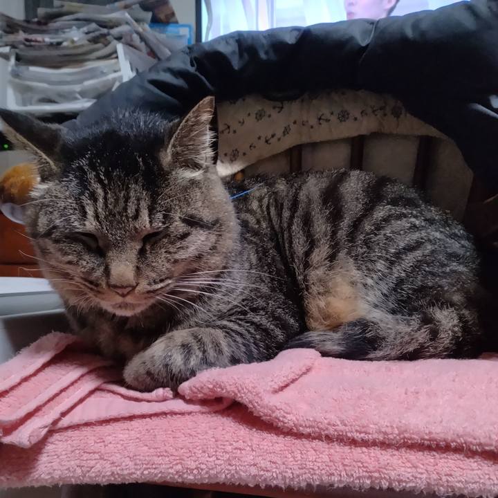 Bad48891 eeb1 4299 b282 e1a32cfcd6d9 1702335494477