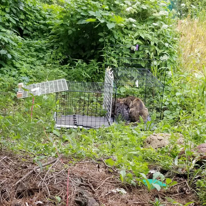 Bad4a331 bb3a 4b10 8573 5264cf7c46bd 1691678800704