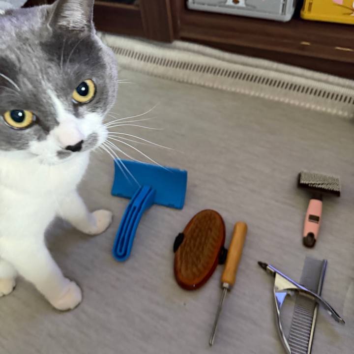 Bad4c140 d3e5 486d a641 a38322154dc0 1771199597251