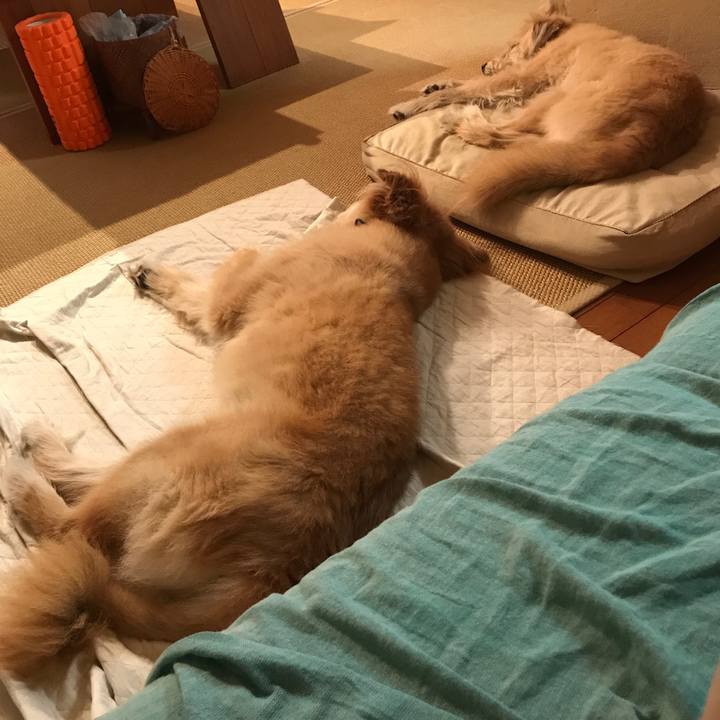 Bad4e771 5f37 4f3d a72b 07cf1605a099 1533727162280