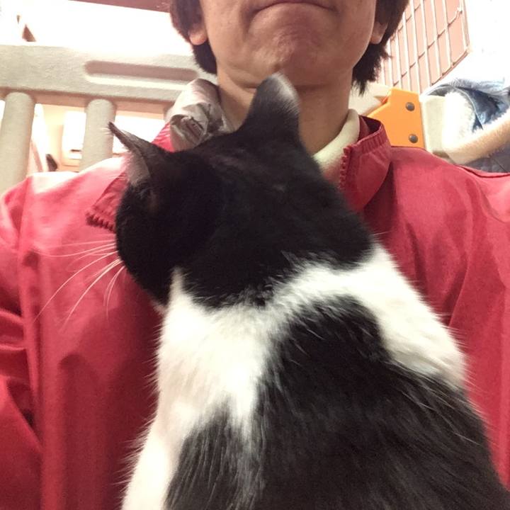 Bad50f55 2db2 45cd 9724 d10eb4de8238 1543395433615