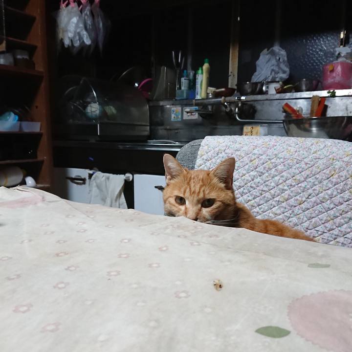 Bad5387e e5de 40ce b184 38e99616899c 1605125554115