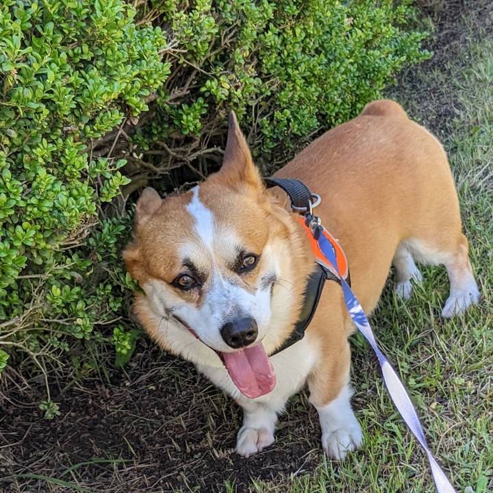 Bad58db4 38ac 4109 a1d9 46b1686e1c16 1686443756550