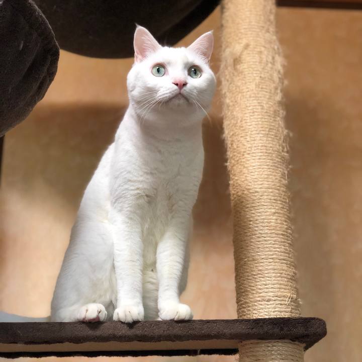 Bad59765 1a67 4324 949f 13534b8e7b8a 1599878008920