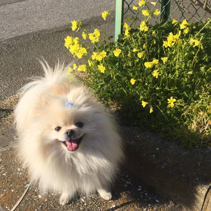 Bad5be1d 50e4 4b35 9972 c3427a1a2d36 1550393297092