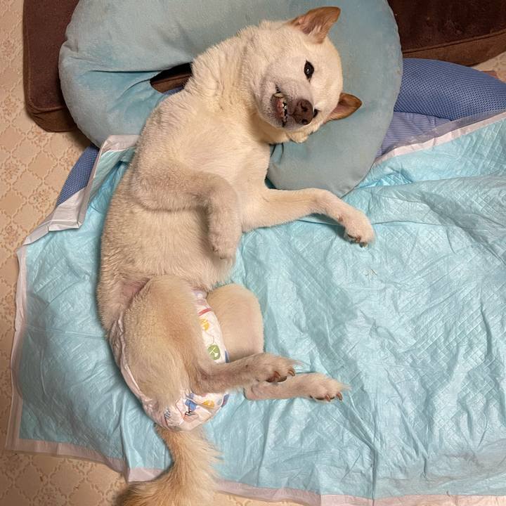 Bad655cc f0a9 4469 8168 10ef86a0830e 1666522013800