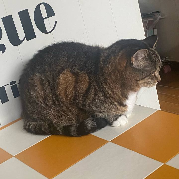 Bad65c86 07b2 40da a656 a2249df7ed3f 1716415285901