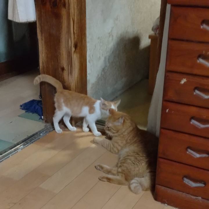 Bad69c7e 6628 49fc 8a9f bd57a04e528a 1725884649810