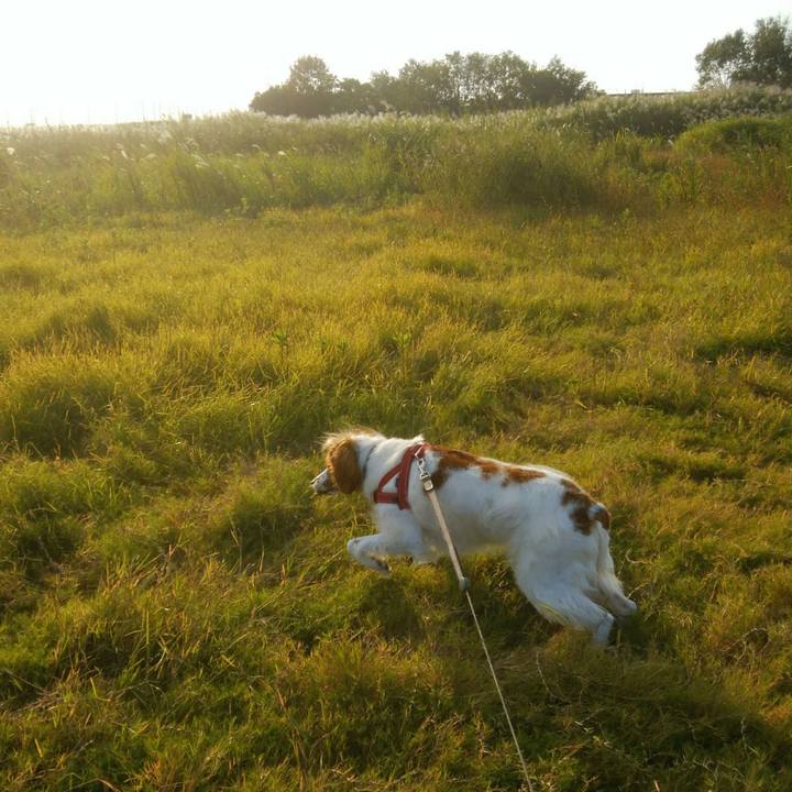 Bad69dbc 8607 44cd 9039 5952599bd628 1540381220172