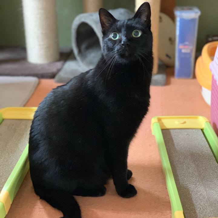 Bad6a1d5 13e2 4153 b95b cfc79d03482d 1544406358608