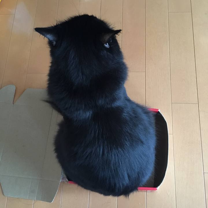 Bad6a2ec c108 42b3 8093 b27f171ffee9 1508493349858