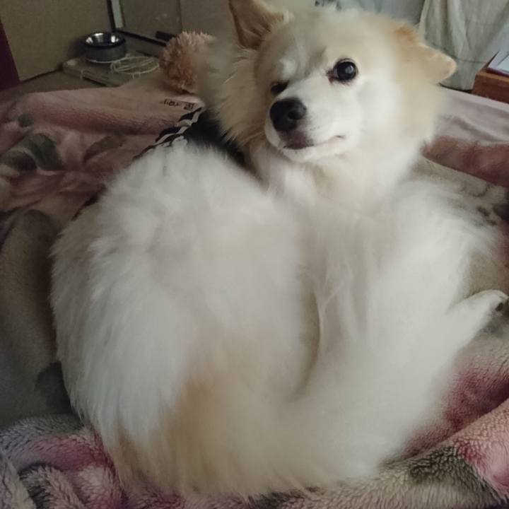 Bad6b91c 51f8 43c2 bfea efb995c8ada2 1537392900778