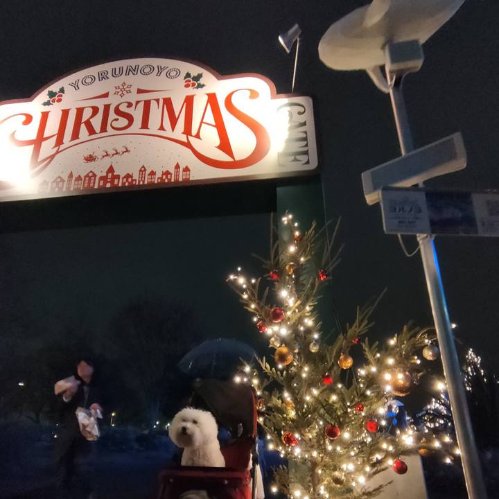 Bad6c38c f9df 497a 8c2b de0ba47c876f 1765697726922