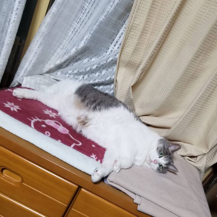 Bad6cd3e f190 4aae b31f b08ad354d836 1659108277392