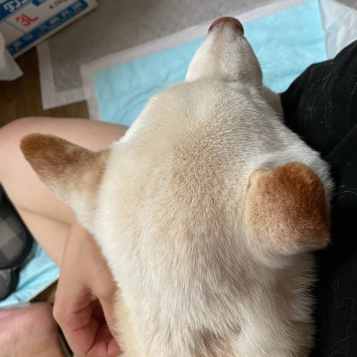 Bad6f25f 18b7 4c93 a030 6187b948268e 1634182913375