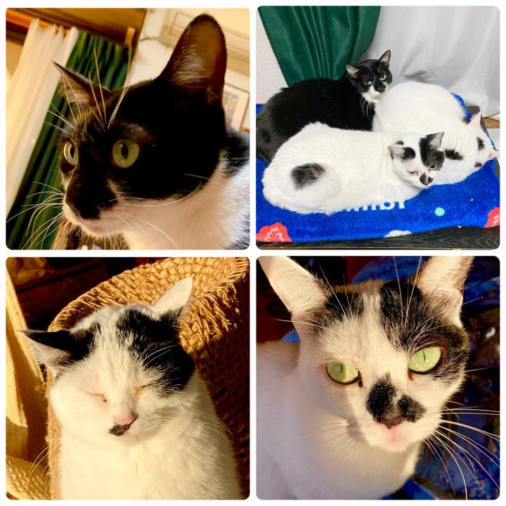 Bad705d3 f67a 4910 81c7 28567c3a9112 1673444184745