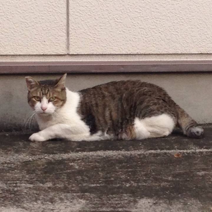 Bad70d5d c0db 4696 9edf ac273dc7c39d 1507808409236