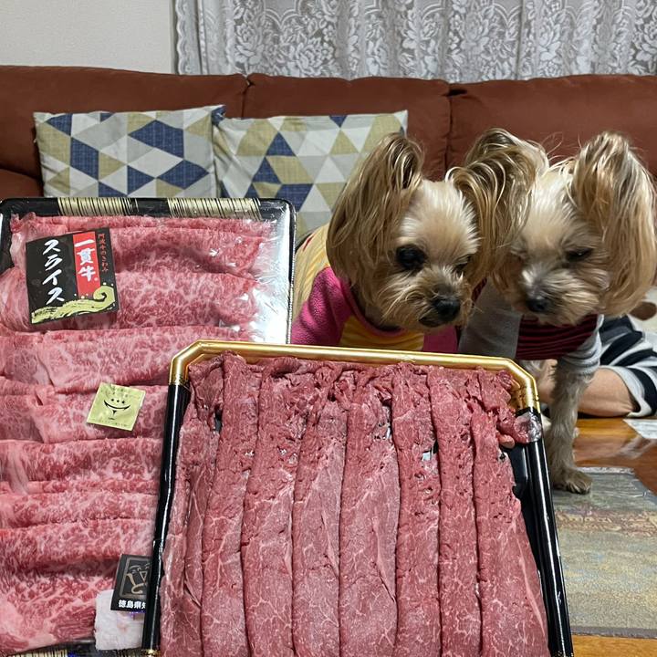 Bad72861 7b99 475c aaed 22d98467641c 1641287595604