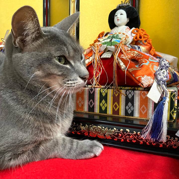 Bad729ce c4f5 4d50 b77a 5acc2a2b848b 1646311084654