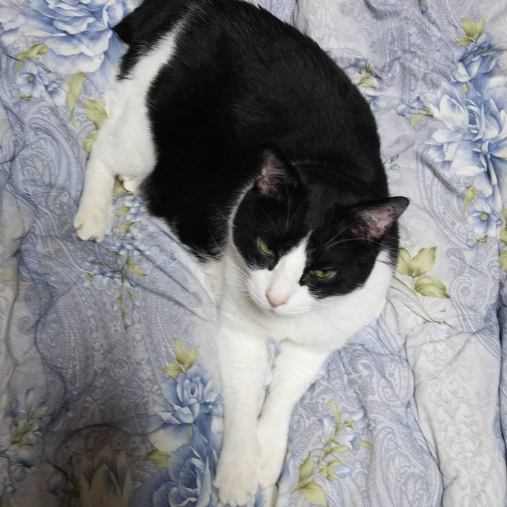 Bad73198 7530 48a3 ad85 da29f996f819 1550094503709