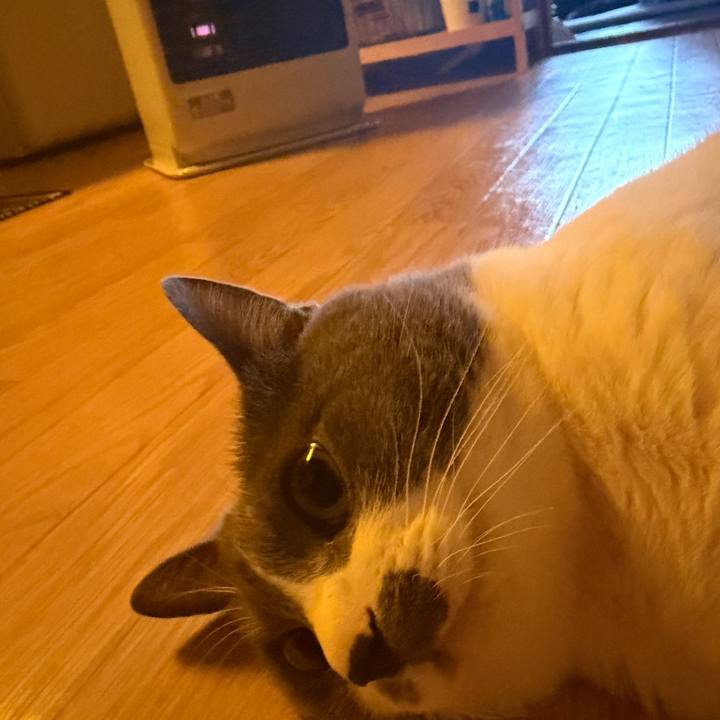 Bad764d6 5bbb 4d16 bd00 0e6c6dc3cbf8 1765153879102