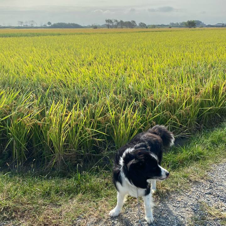 Bad77b2a 0149 4371 8042 7d2c52d0541c 1634084225015