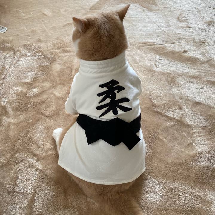 Bad77f88 6b5c 4a83 9c57 e6b5c1ca4f92 1627008104205