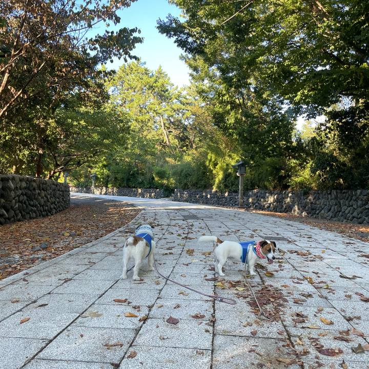 Bad7a602 23ed 4223 b42f f11e2bd7293f 1692832803479