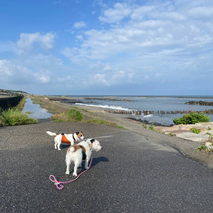 Bad7b592 15e8 460e 9e73 09e9ba289e1b 1719357371557