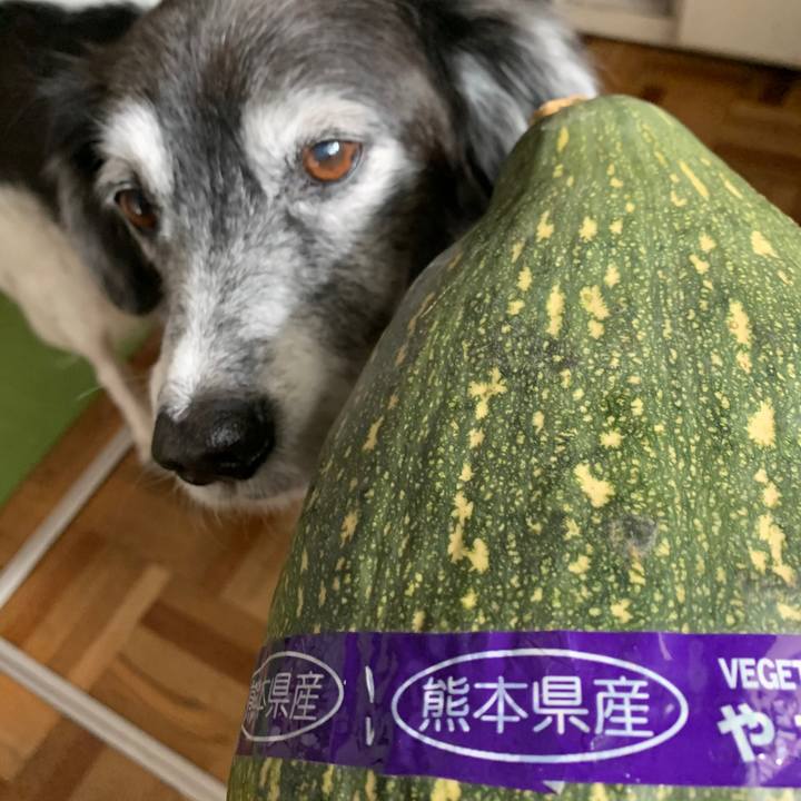 Bad7ebe6 3c68 40e4 bbc6 b8feb31a4b96 1608541517812