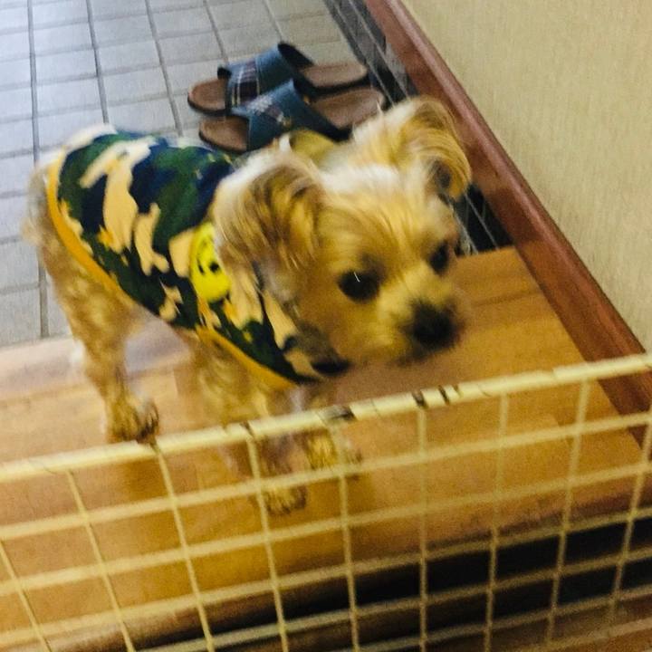 Bad7fca8 b4a8 42a7 944e 8471ea522cbc 1539729064944