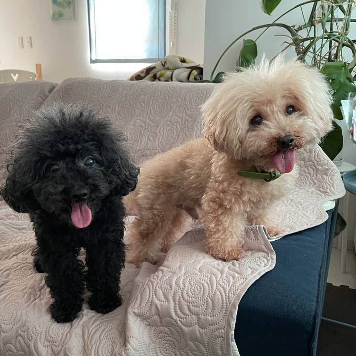 Bad805c2 2687 4dd6 8c0c bab5a96b4fce 1626478823132