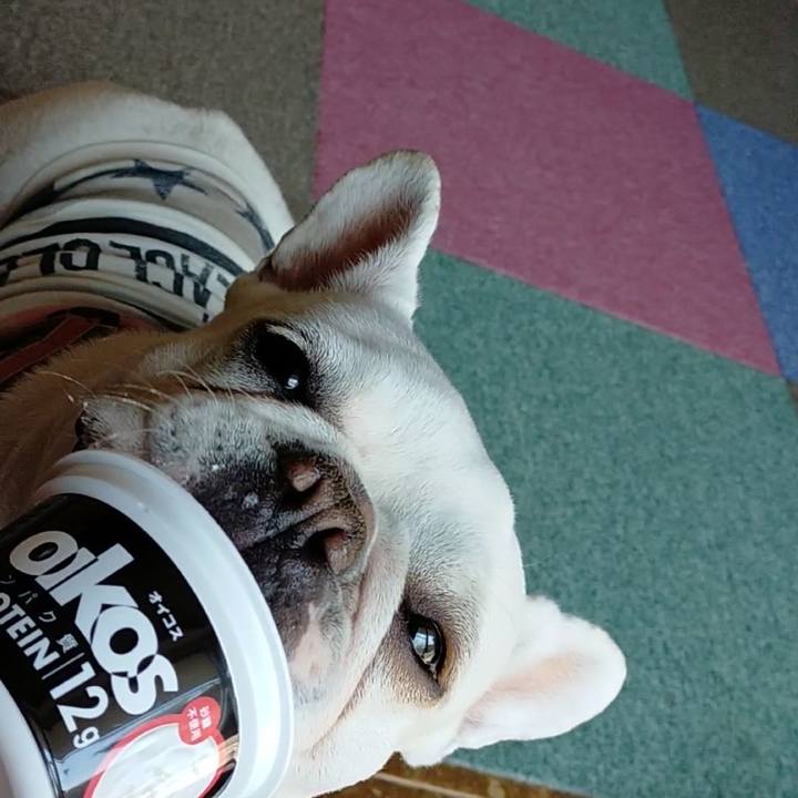 Bad8ae38 b017 4bdd abff d3f03c9fd6a8 1646104203545