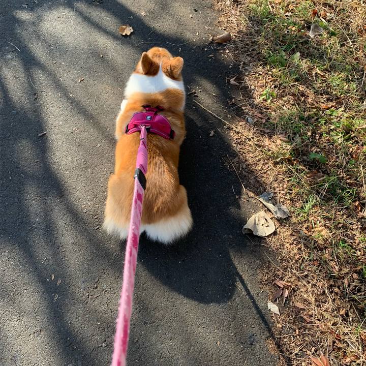 Bad8b435 14a0 4798 927f eade44e7a087 1700788574053