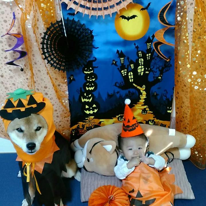 Bad8bd41 8823 48cc 91aa 2805374a4ba0 1540789739387