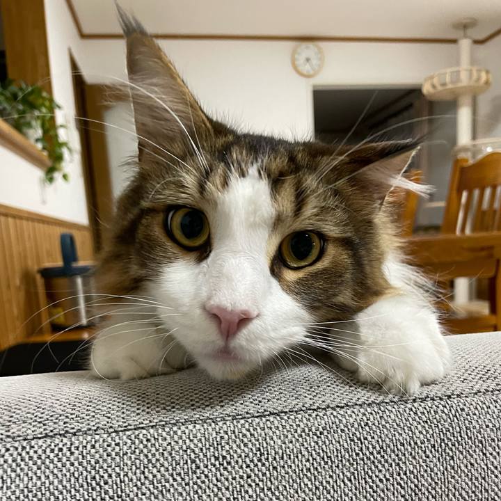 Bad8f374 15f2 4a12 b462 fd6a96f58eeb 1658575215015