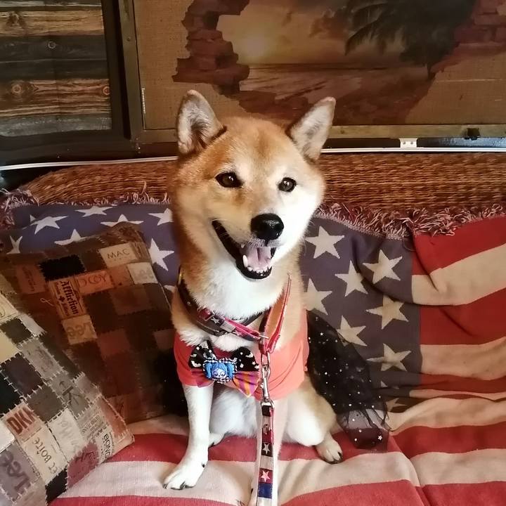 Bad90ec4 524e 4b49 b724 87e33e107c16 1663992151753