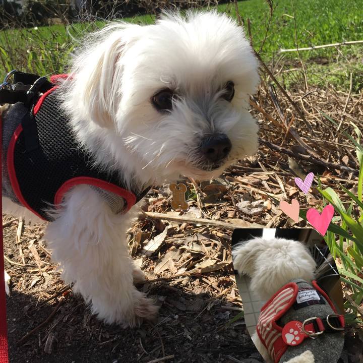 Bad964bf 6ed3 4fc1 89f7 1981c0159ca5 1583991460979