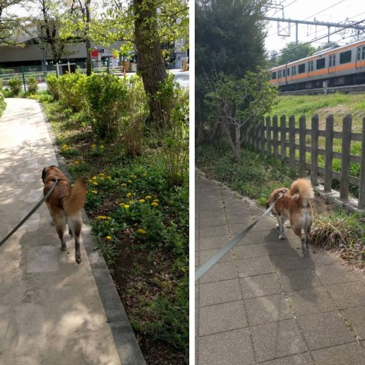 Bad9cf7e 8599 490a b4a5 9653da85b608 1523408790783