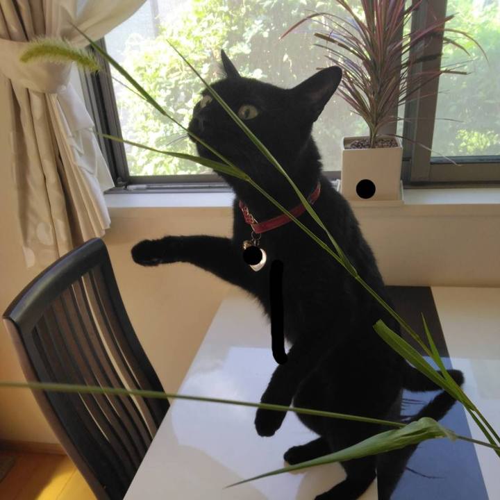 Bad9f34c f585 47b2 bb27 7e0b3e102d44 1759448646318