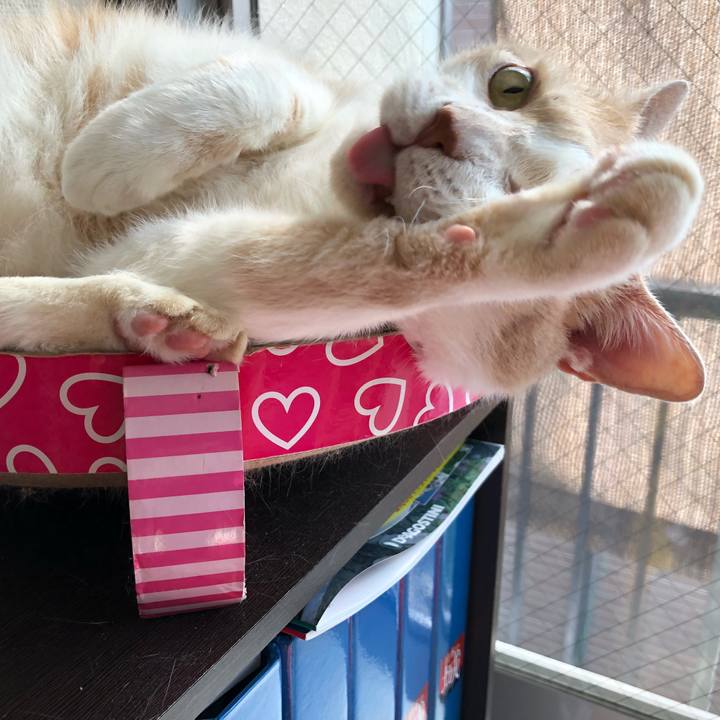 Bada021d af51 4bf0 b166 c26b06ebf720 1526605282176