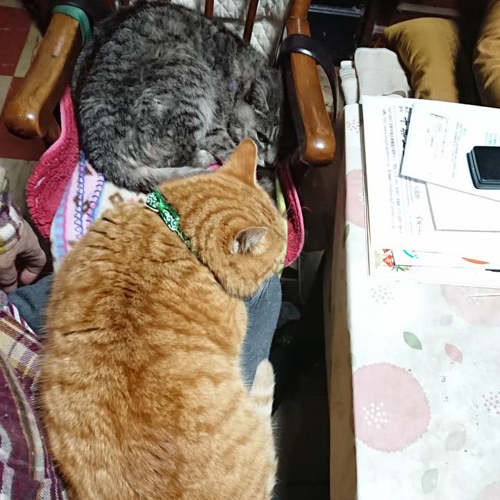 Bada10fc fb6b 472e b925 3c728c5e7984 1580631517750