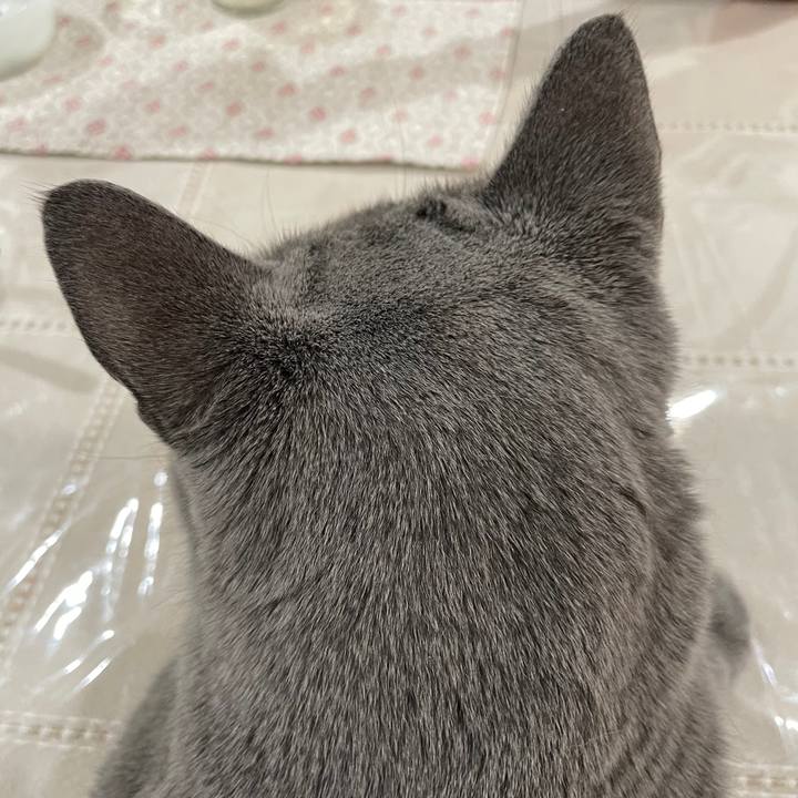 Bada18f4 8147 431c 85c0 18cc47bbab9a 1696078964531