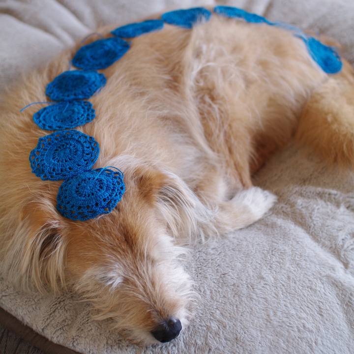 Bada2596 516b 41a6 a961 0b1c2af38d15 1581999153380